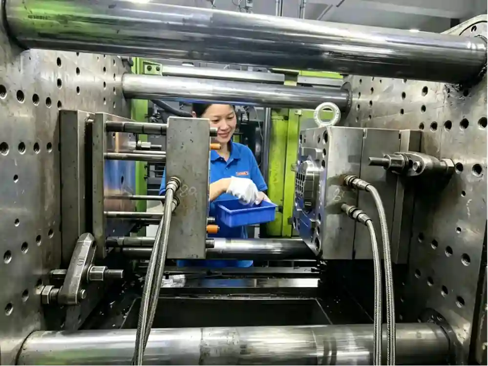 insertion moulding